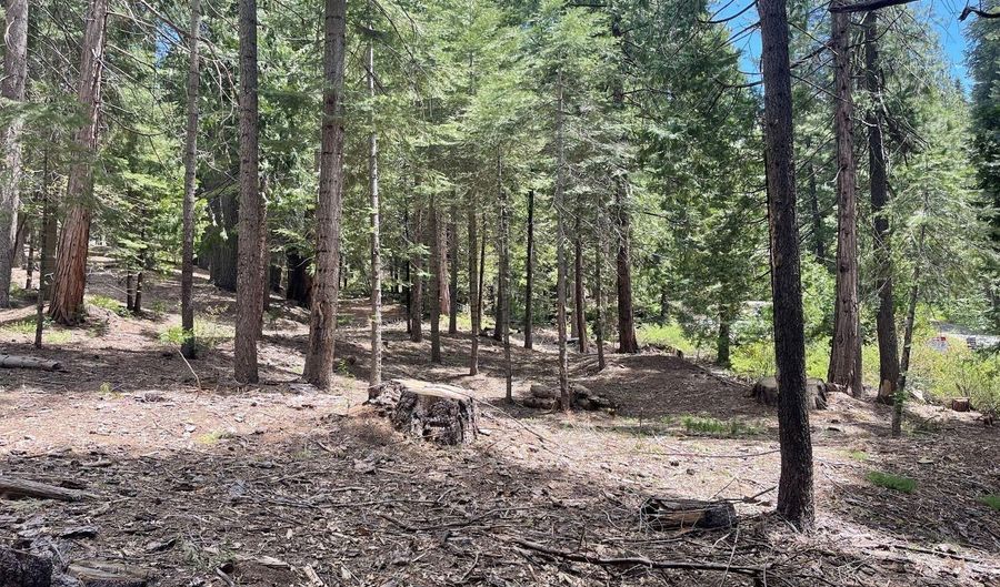 37 Iroquois Dr, Camp Connell, CA 95223 - 0 Beds, 0 Bath