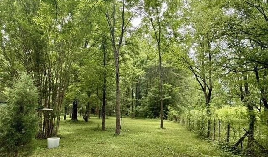 677 Snyder Rd, Arkadelphia, AR 71923 - 4 Beds, 2 Bath