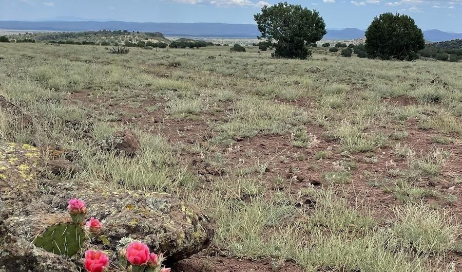30222102 C W Dozer Ave, Ash Fork, AZ 86320 - 0 Beds, 0 Bath