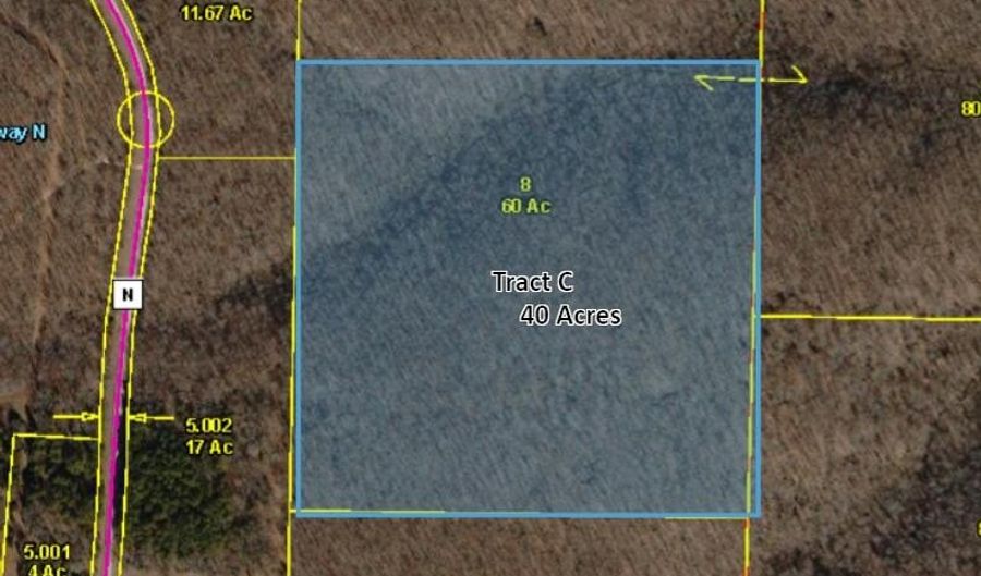 State Hwy N Tract C, Ava, MO 65608 - 0 Beds, 0 Bath