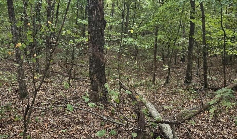 New Bethel Road, Anderson, MO 64831 - 0 Beds, 0 Bath