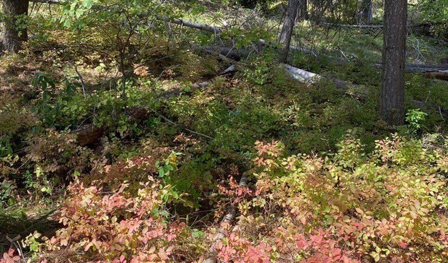32 Saddle Rock Dr Lot 15, Cascade, ID 83611 - 0 Beds, 0 Bath