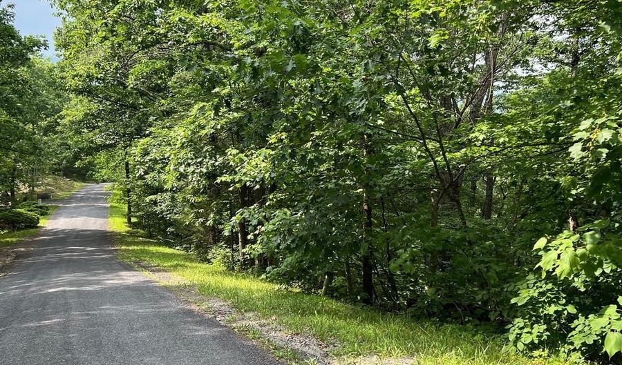 Lot 156 & 158 VICKI, Basye, VA 22810 - 0 Beds, 0 Bath