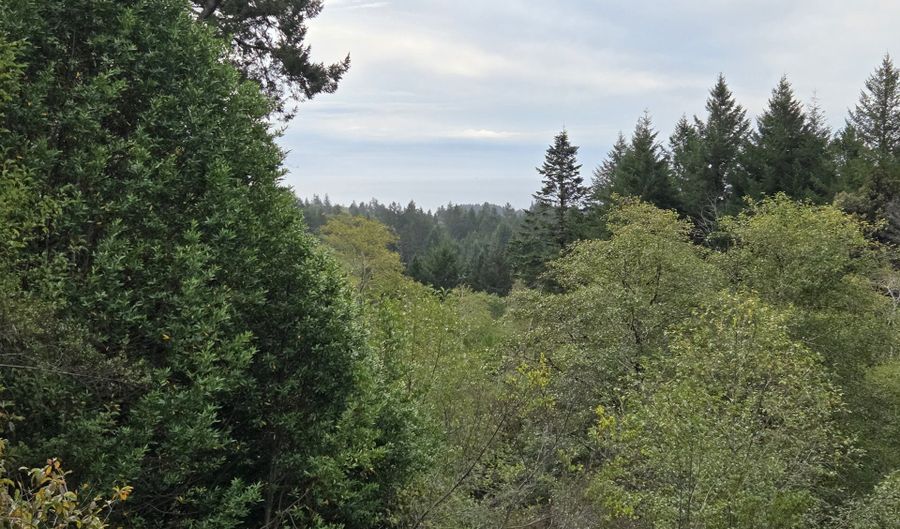 96420 ALDER RIDGE Rd, Brookings, OR 97415 - 3 Beds, 2 Bath