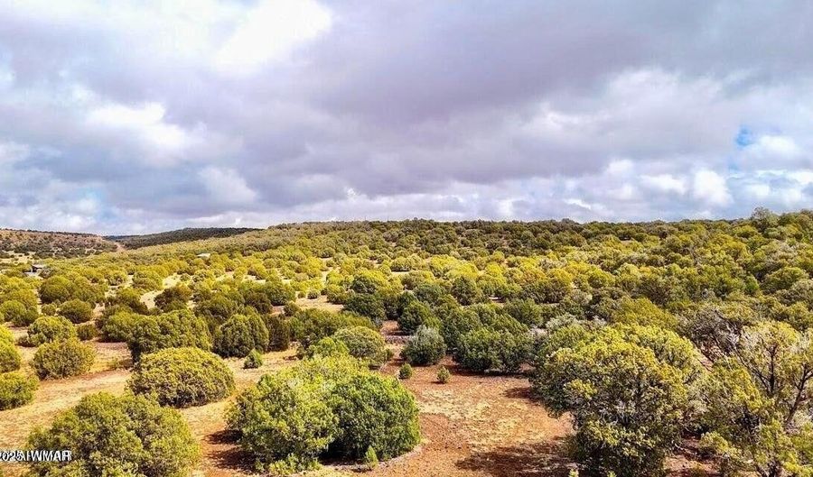 Tbd Co Rd 8256 Lot D 10 Acres, Concho, AZ 85924 - 0 Beds, 0 Bath