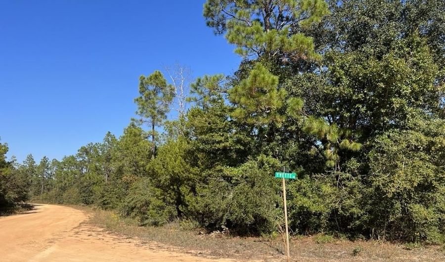 LOT 30 Yvette Dr, Alford, FL 32420 - 0 Beds, 0 Bath