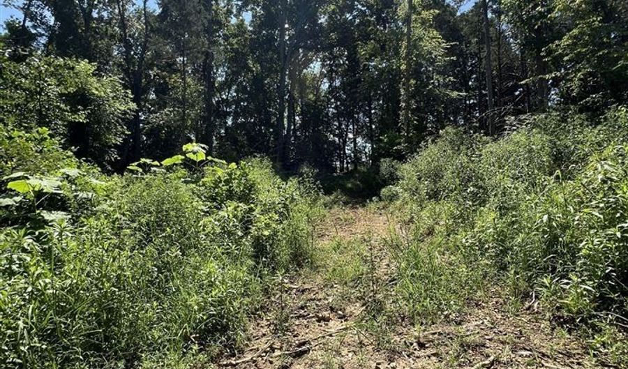 3688 E New Roe Rd, Adolphus, KY 42120 - 0 Beds, 0 Bath