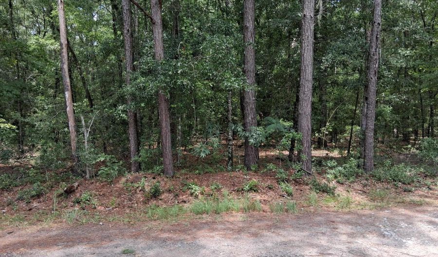 8070 Williford Rd, Adams Run, SC 29426 - 0 Beds, 0 Bath