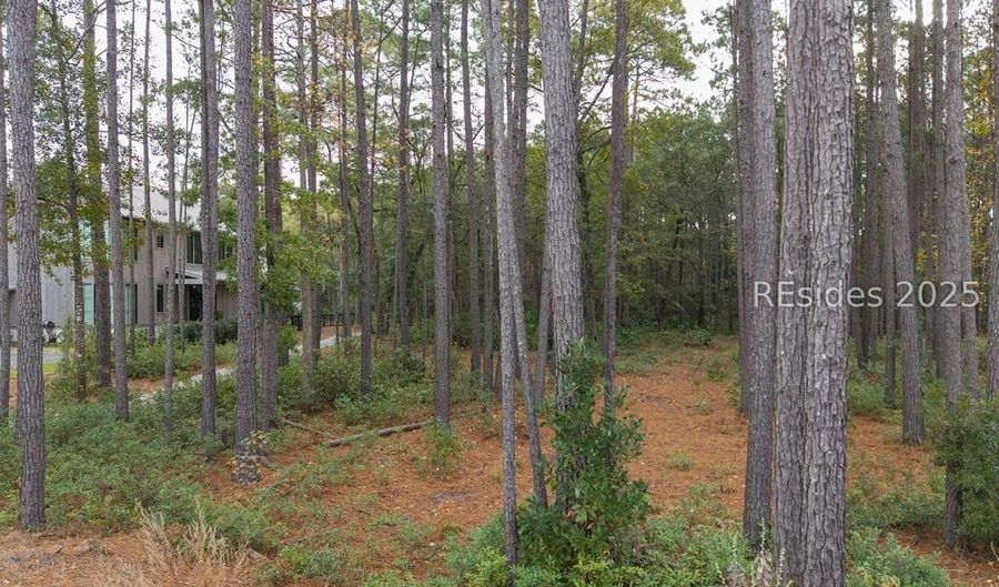 25 Lupine Rd, Bluffton, SC 29910 - 0 Beds, 0 Bath