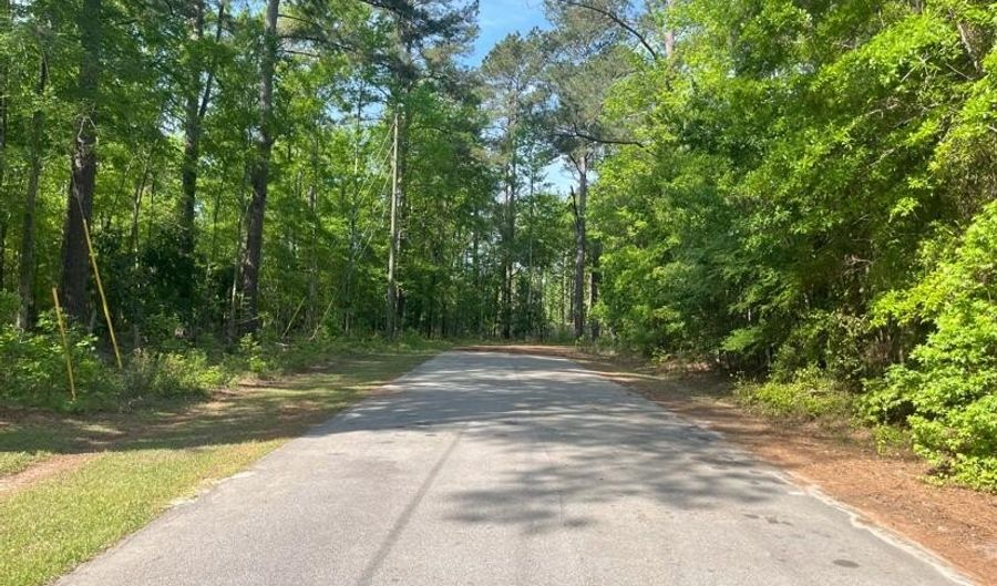 Robin Drive, Bamberg, SC 29003 - 0 Beds, 0 Bath