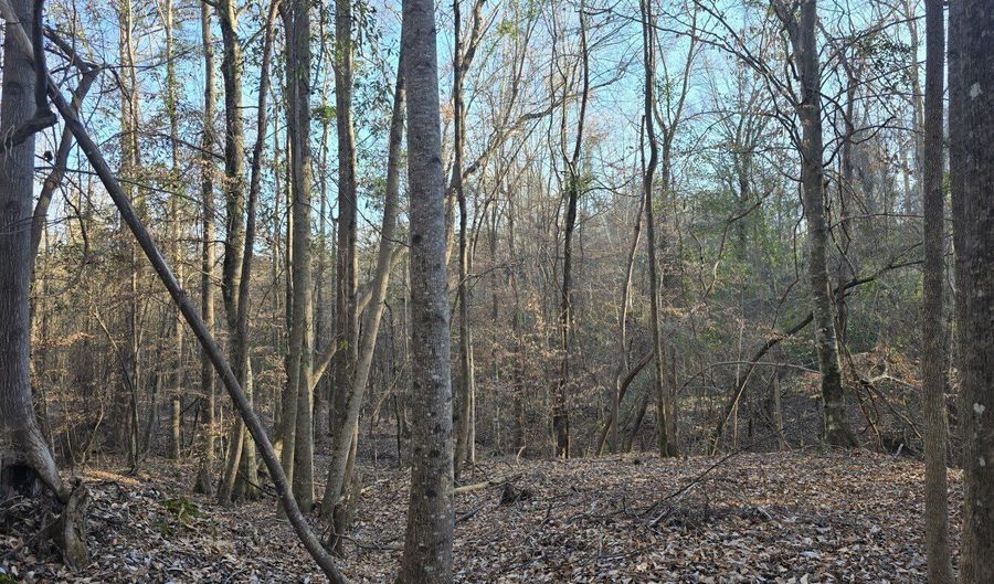 County Rd 17, Autaugaville, AL 36003 - 0 Beds, 0 Bath