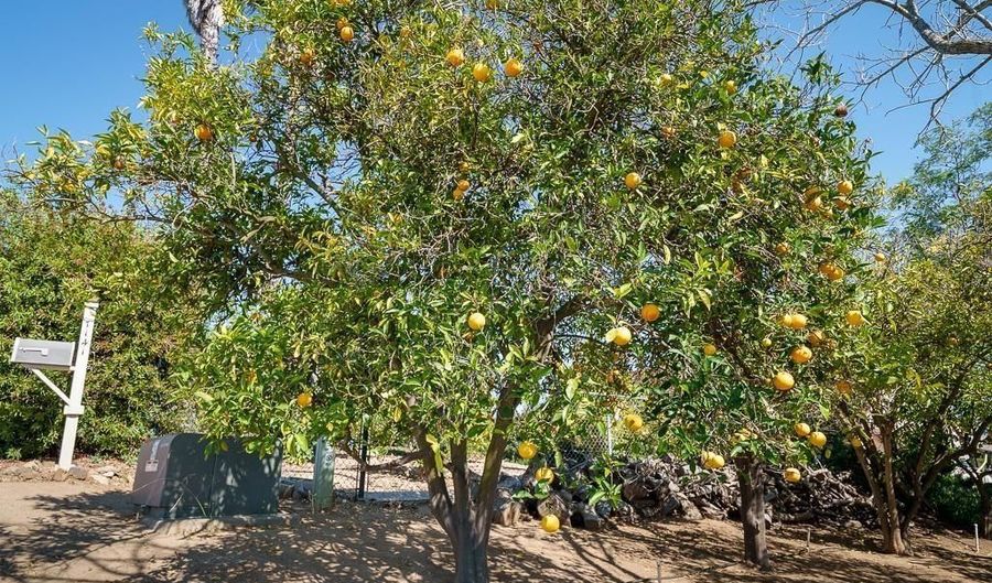 1139 Big Oak Ranch Rd, Fallbrook, CA 92028 - 4 Beds, 3 Bath