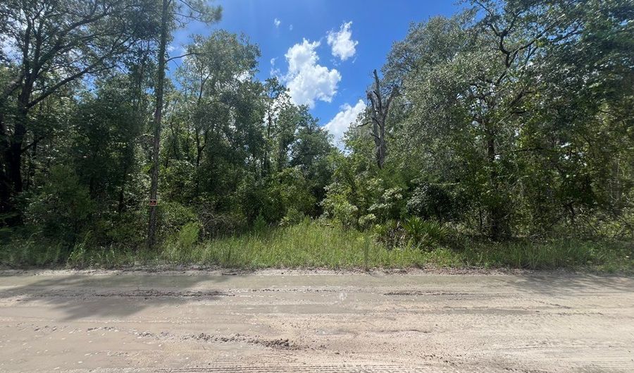 Lot 11 11th Ave, Bell, FL 32619 - 0 Beds, 0 Bath