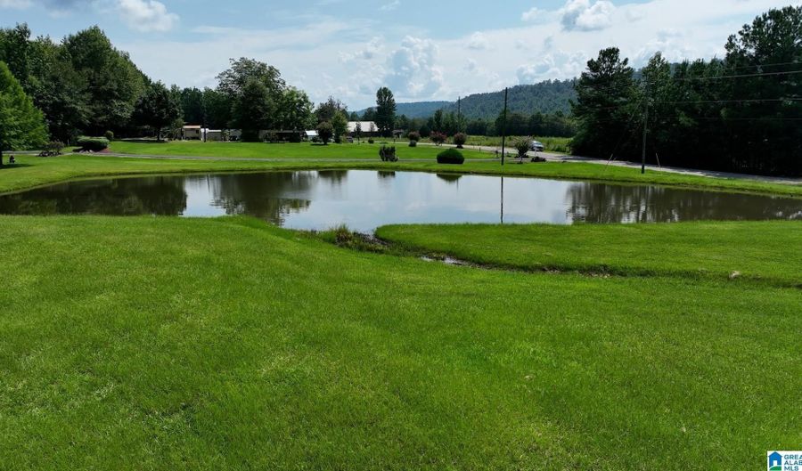 3941 SHOAL CREEK Rd, Ashville, AL 35953 - 4 Beds, 3 Bath