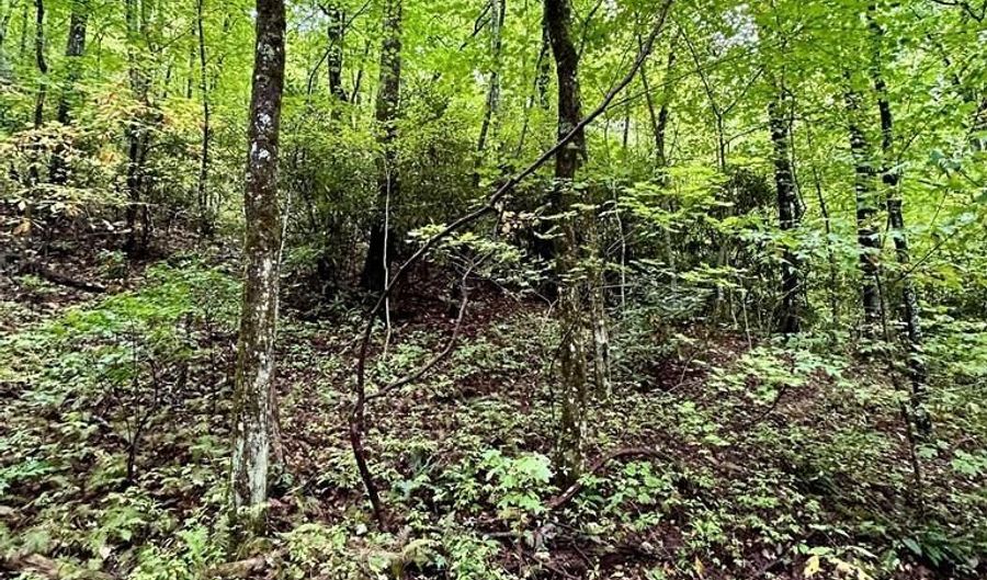 Granny Squirrel Dr lot 121, Andrews, NC 28901 - 0 Beds, 0 Bath