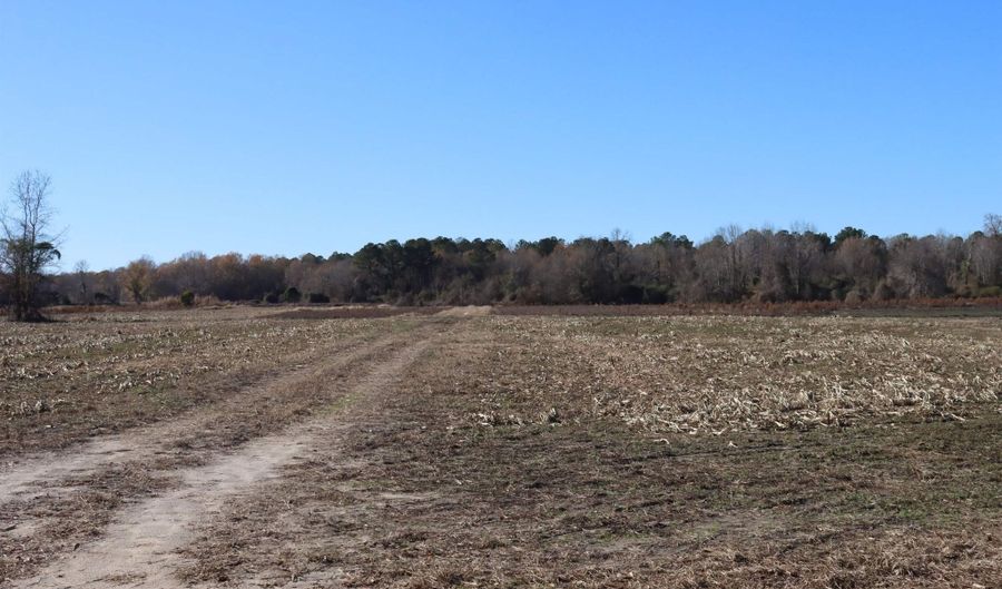 Highway 3, Blackville, SC 29817 - 0 Beds, 0 Bath