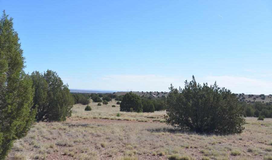 9234 N And 9218 Red Riv, Concho, AZ 85924 - 0 Beds, 0 Bath