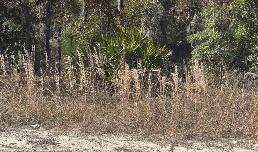 0000 NE 106TH Ct, Archer, FL 32618 - 0 Beds, 0 Bath