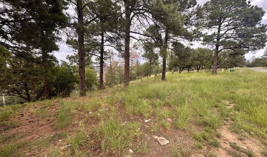 243 Deer Park Dr Lot 115, Alto, NM 88312 - 0 Beds, 0 Bath
