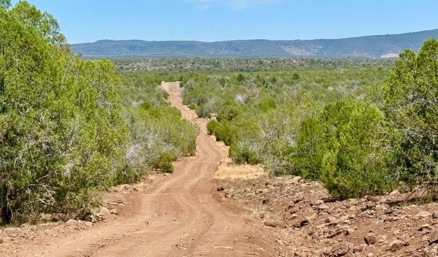 Stagecoach Dr 47 Acres, Ash Fork, AZ 86320 - 0 Beds, 0 Bath