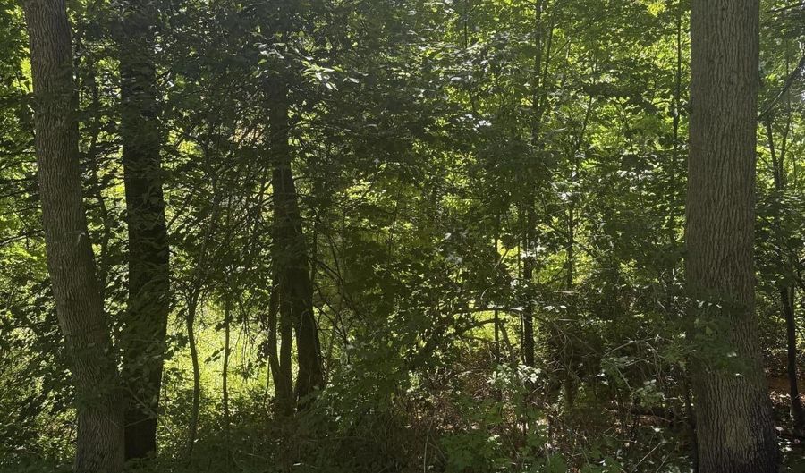 Patterson Hill Road lot 2, Belfast, ME 04915 - 0 Beds, 0 Bath