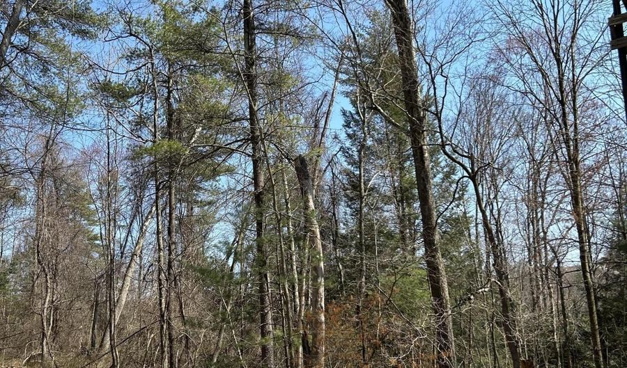 TALLMAN HOLLOW ROAD LOT #5, Montoursville, PA 17754 - 0 Beds, 0 Bath