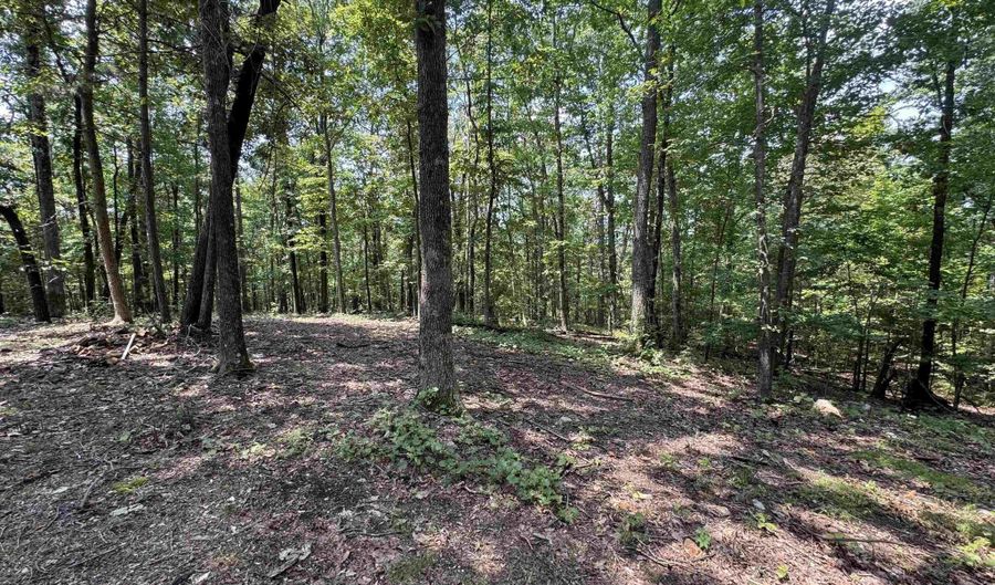 305 STONE RIDGE Trl, Anniston, AL 36207 - 3 Beds, 3 Bath