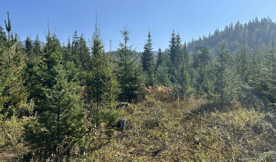 Tract 3 USFS 2294, Clark Fork, ID 83811 - 0 Beds, 0 Bath