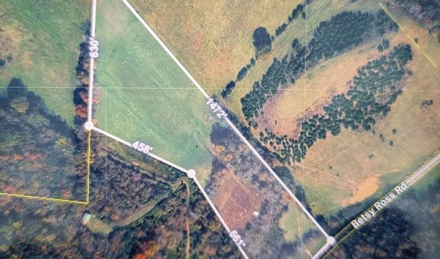 1385 Betsy Ross Rd, Afton, TN 37616 - 0 Beds, 0 Bath