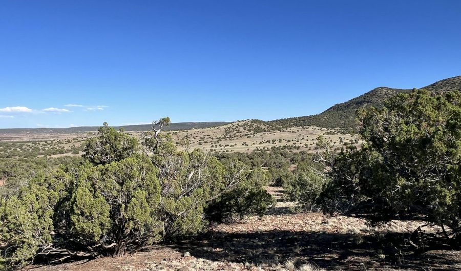 006 N8604, Concho, AZ 85924 - 0 Beds, 0 Bath