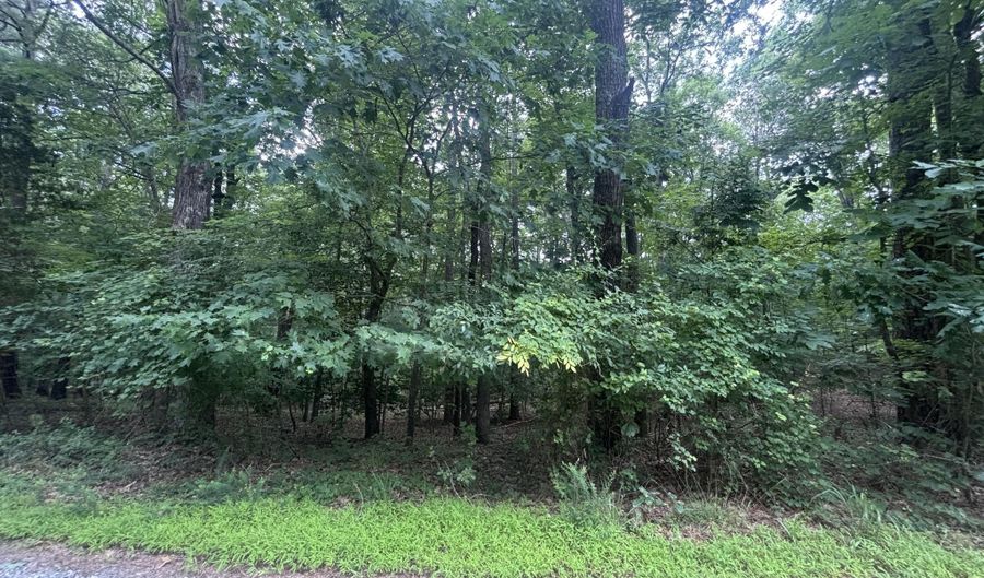 0 John Horton Rd, Apex, NC 27523 - 0 Beds, 0 Bath