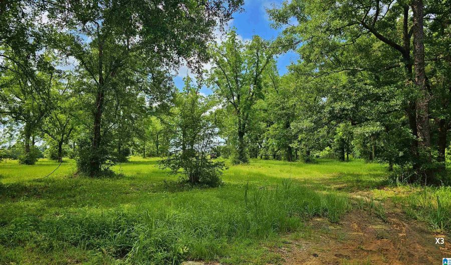 22880 OLD WEEKLY ROAD Lot 40 Acres, Bay Minette, AL 36507 - 0 Beds, 0 Bath