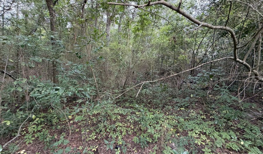 77 ACRE Leary N Rd, Ashburn, GA 31714 - 0 Beds, 0 Bath
