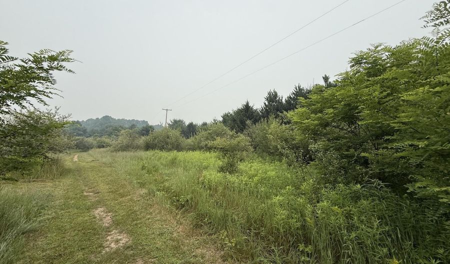 20 Acres E M-30 Hwy, Alger, MI 48610 - 0 Beds, 0 Bath