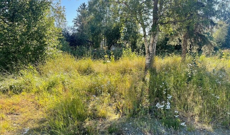 7316 Tanaga Cir, Anchorage, AK 99504 - 0 Beds, 0 Bath