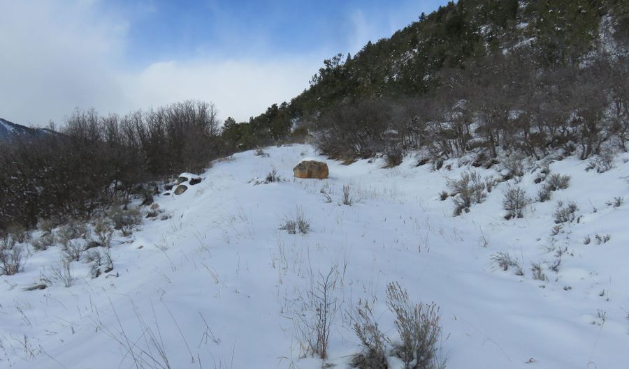 Tbd 117 County Road, Glenwood Springs, CO 81601 - 0 Beds, 0 Bath