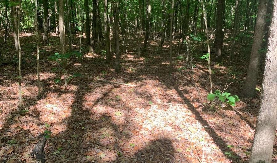 7700 Poole TRACT A, Alto, GA 30510 - 0 Beds, 0 Bath
