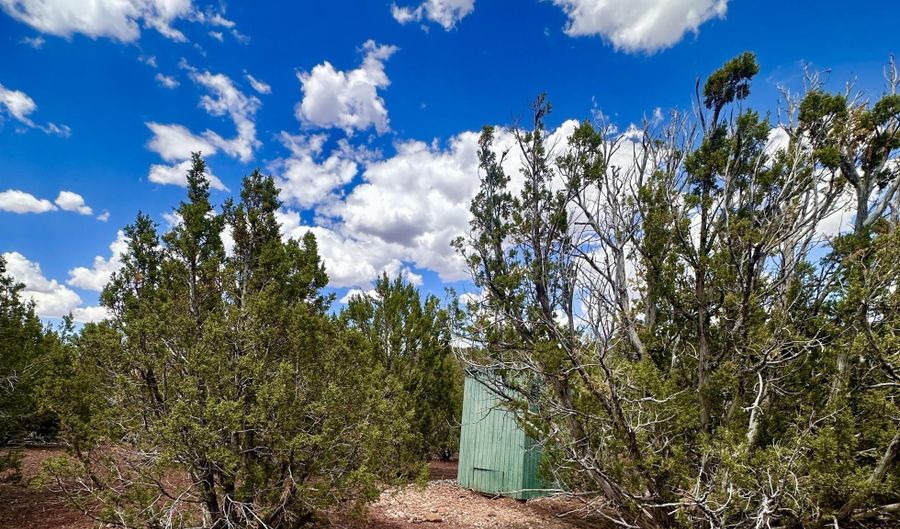 Tbd County Rd N8157, Concho, AZ 85924 - 0 Beds, 0 Bath