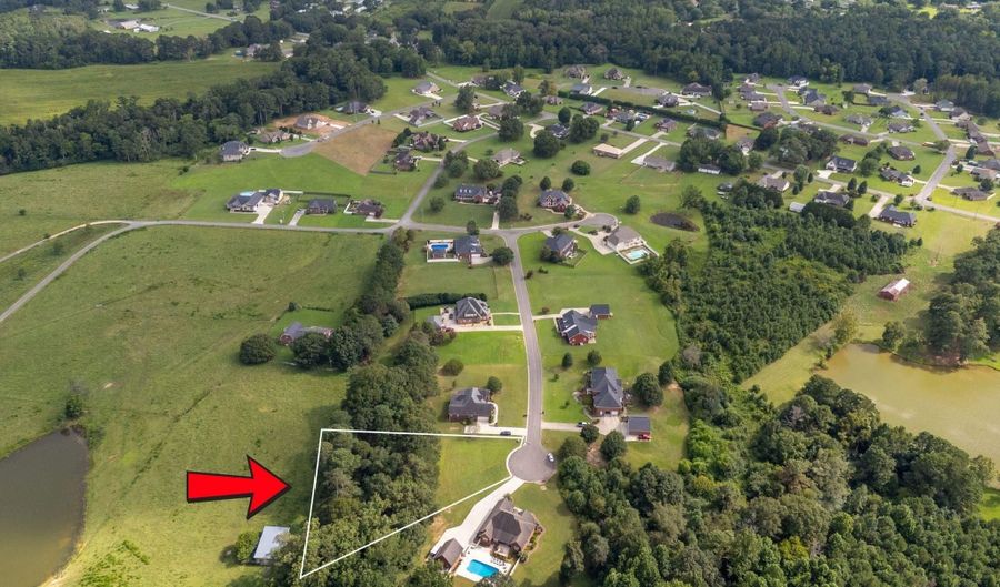 Lot 12 Mitchem Lane, Albertville, AL 35951 - 0 Beds, 0 Bath