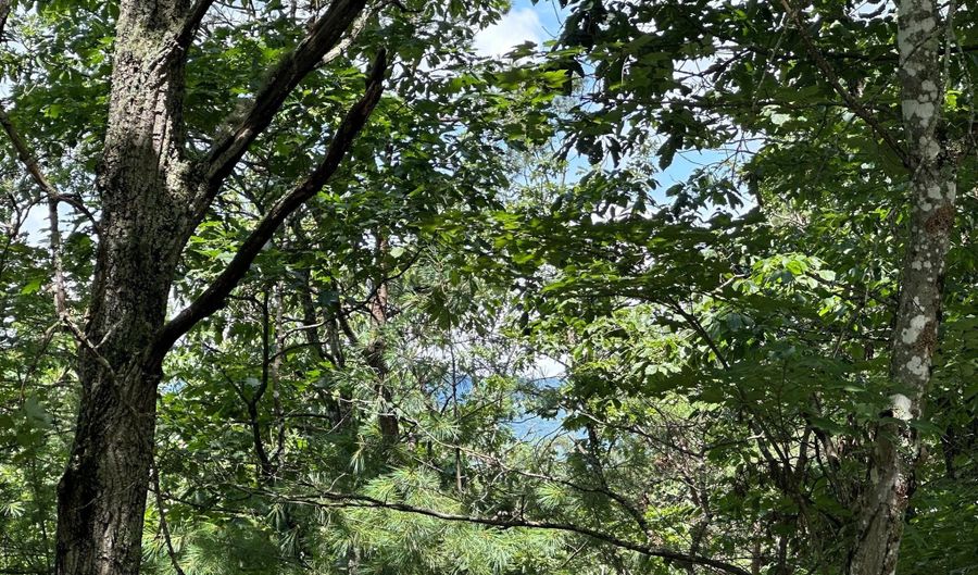 Lot 24 MT SNOW COURT, Basye, VA 22810 - 0 Beds, 0 Bath