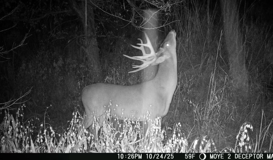 8667 W Hardwood Rd, Atoka, OK 74525 - 4 Beds, 2 Bath