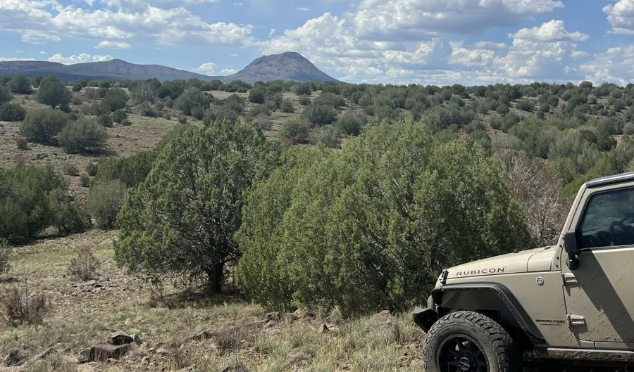 29 Of An Un Named Rd, Ash Fork, AZ 86320 - 0 Beds, 0 Bath