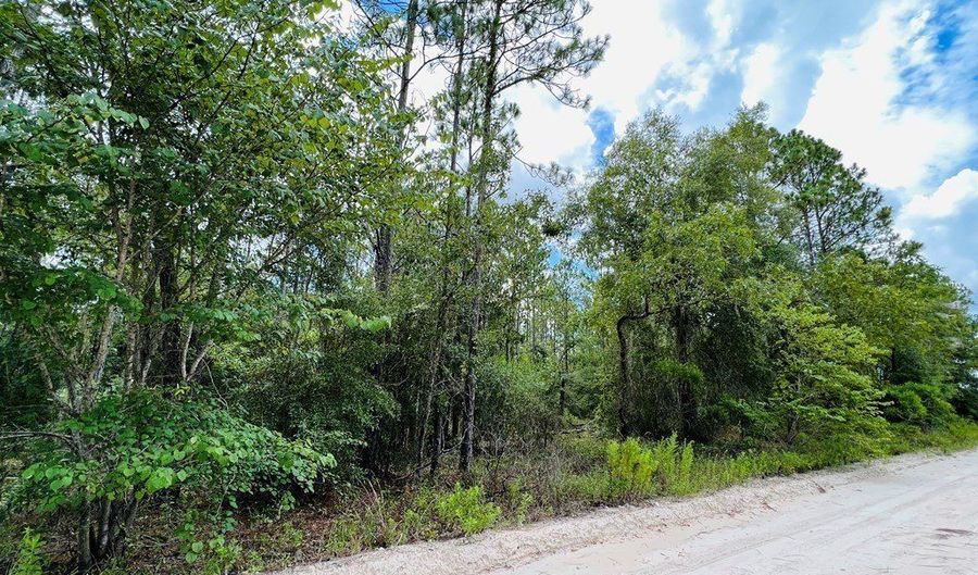 NW 116th Ave lot 10, Bell, FL 32619 - 0 Beds, 0 Bath