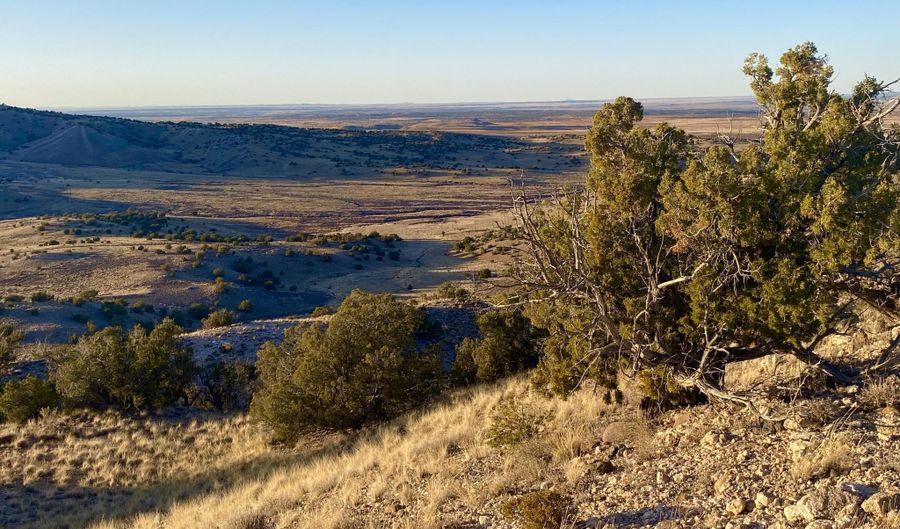 Tbd Co Rd 5062 2.39 Acres, Concho, AZ 85924 - 0 Beds, 0 Bath