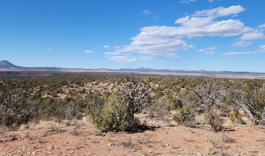 Scorpion lot 50, Ash Fork, AZ 86320 - 0 Beds, 0 Bath