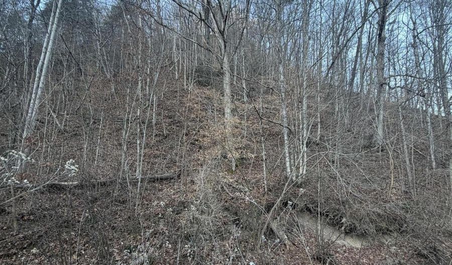 Highway 25E, Bean Station, TN 37708 - 0 Beds, 0 Bath