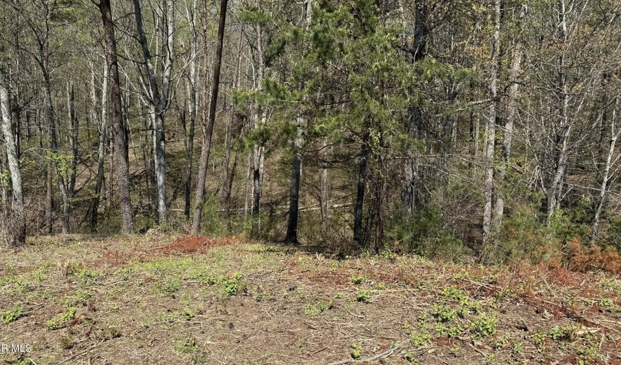 475 Bayside Blvd, Bean Station, TN 37708 - 0 Beds, 0 Bath