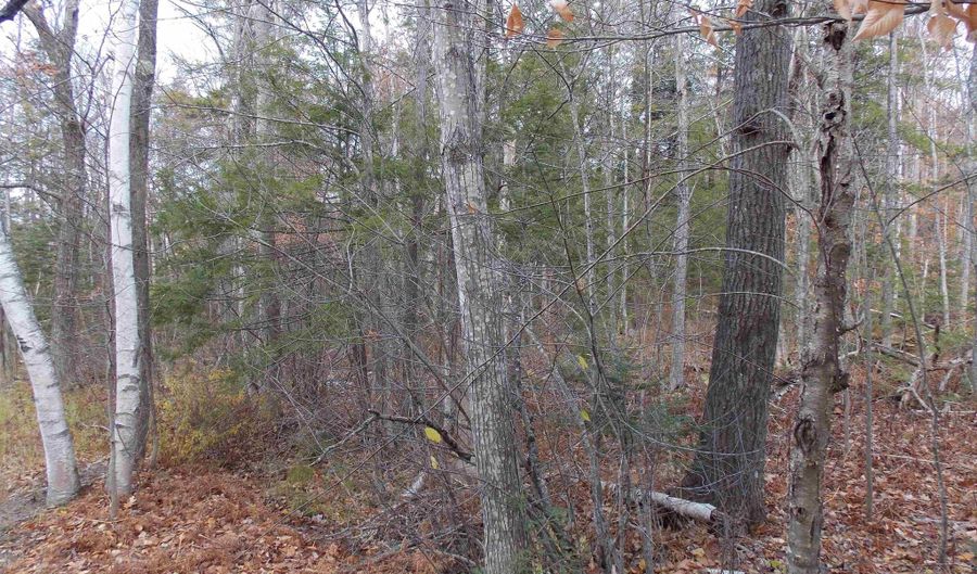 Mittenwald Strasse Road lot 49, Bartlett, NH 03812 - 0 Beds, 0 Bath