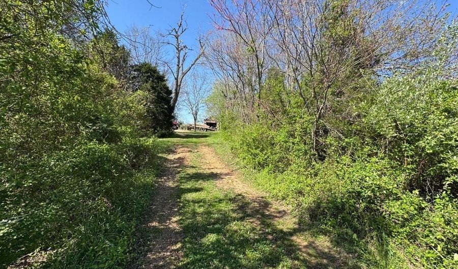 95 Terrafirma Ln, Ash Flat, AR 72513 - 3 Beds, 1 Bath