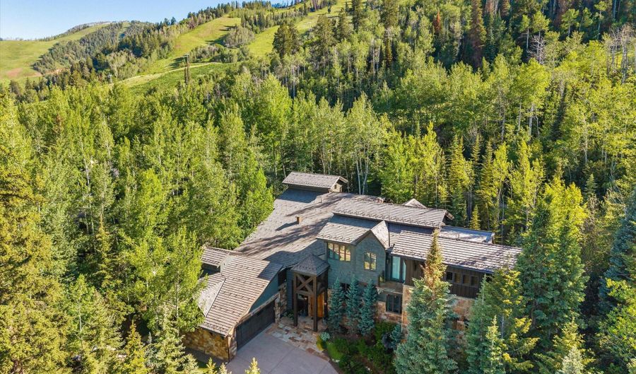 386 Pfister Dr, Aspen, CO 81611 - 5 Beds, 7 Bath